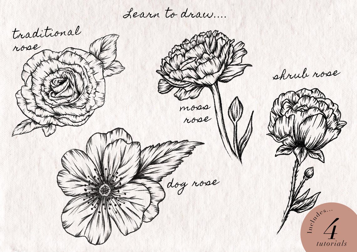 White Roses Simple Worksheet How to Draw Roses - 4 Easy Step-by-step Digital Worksheets - Etsy