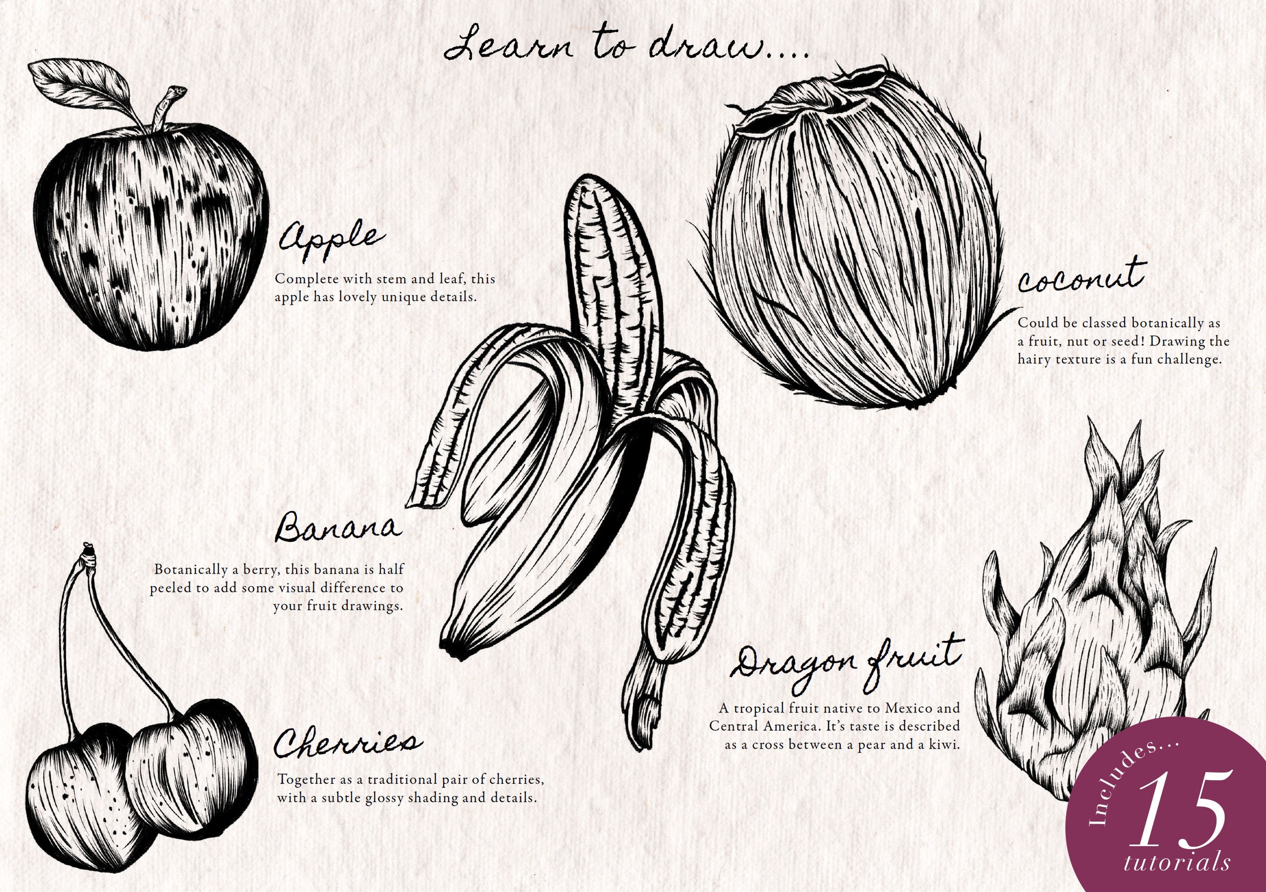 How to Draw Fruit 15 Step by Step Easy Drawing Tutorials. Etsy UK