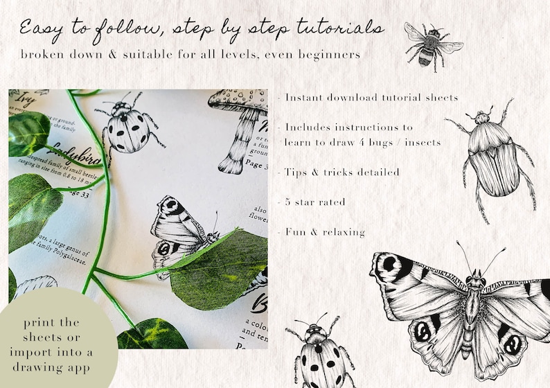 How to Draw Bugs - 4 Bug Drawing Tutorials: Bumblebee, Butterfly ...