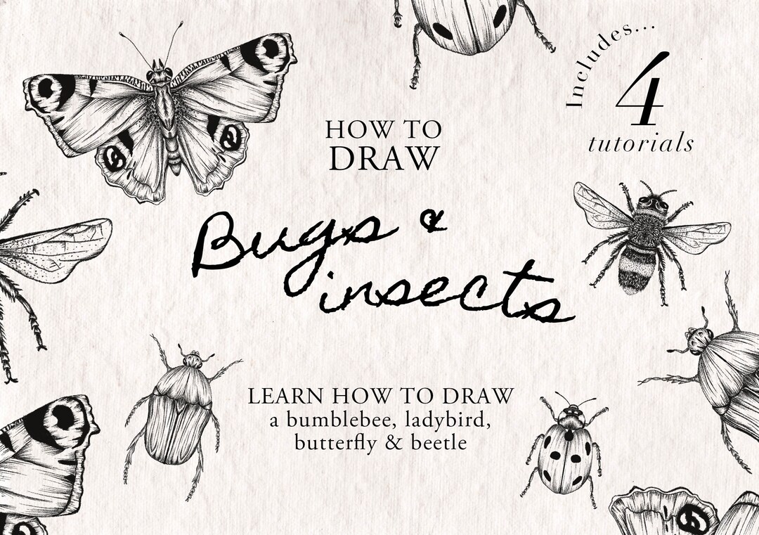How to Draw Bugs & Insects 4 Step by Step Easy Drawing Tutorials. Instant Download Procreate