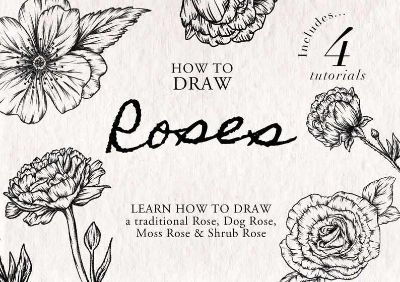 White Roses Simple Worksheet How to Draw Roses - 4 Easy Step-by-step Digital Worksheets - Etsy