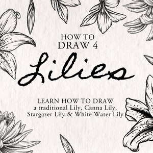 Op de afbeelding: Een zwart-witte illustratie van vier verschillende soorten lelies. De tekst "HOW TO DRAW 4 Lilies" staat bovenaan de afbeelding. De tekst "LEARN HOW TO DRAW a traditional Lily, Canna Lily, Stargazer Lily & White Water Lily" staat onderaan de afbeelding.