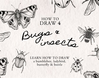 How To Draw Bugs & Insects - 4 step by step easy drawing tutorials. Instant download Procreate Sheets