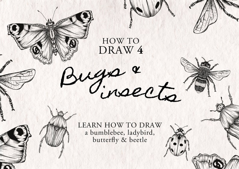 How to Draw Bugs - 4 Bug Drawing Tutorials: Bumblebee, Butterfly ...