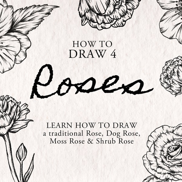 How To Draw Roses - 4 step by step easy drawing tutorials for different rose variations. Instant download Procreate Sheets