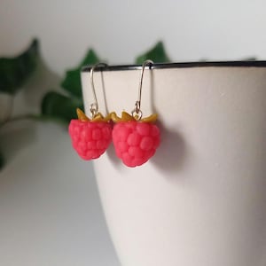 Op de afbeelding: Een paar hangende oorbellen met miniatuur framboosbedels, voorzien van een textuurrijke roze vrucht en kleine groene blaadjes aan de bovenkant. De bedels zijn bevestigd aan dunne, zilverkleurige metalen haken voor in de oren.