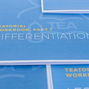 Op de afbeelding: Een stapel blauwe werkboeken met de titel "TEATORIAL WORKBOOK: PART 1 DIFFERENTIATION" op het bovenste boek.