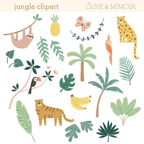Jungle clip art images, jungle tropical forest animals and plants illustrations, commercial use clipart – instant download