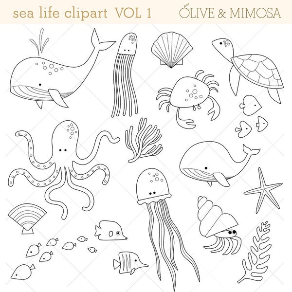 Sea animals clip art images VOL 1 black & white outline, sea life digital illustrations, cute ocean animals, crab, fish, octopus, turtle