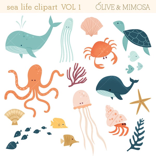 Sea animals clip art images VOL 1, sea life illustrations, cute ocean animals, crab, fish, octopus, commercial use clipart, instant download