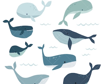 Whale clip art images , cute whale illustrations, ocean, sea life digital illustrations, commercial use clipart