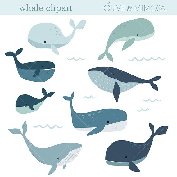 Whale Clip Art Images Cute Whale Illustrations Ocean Sea Etsy