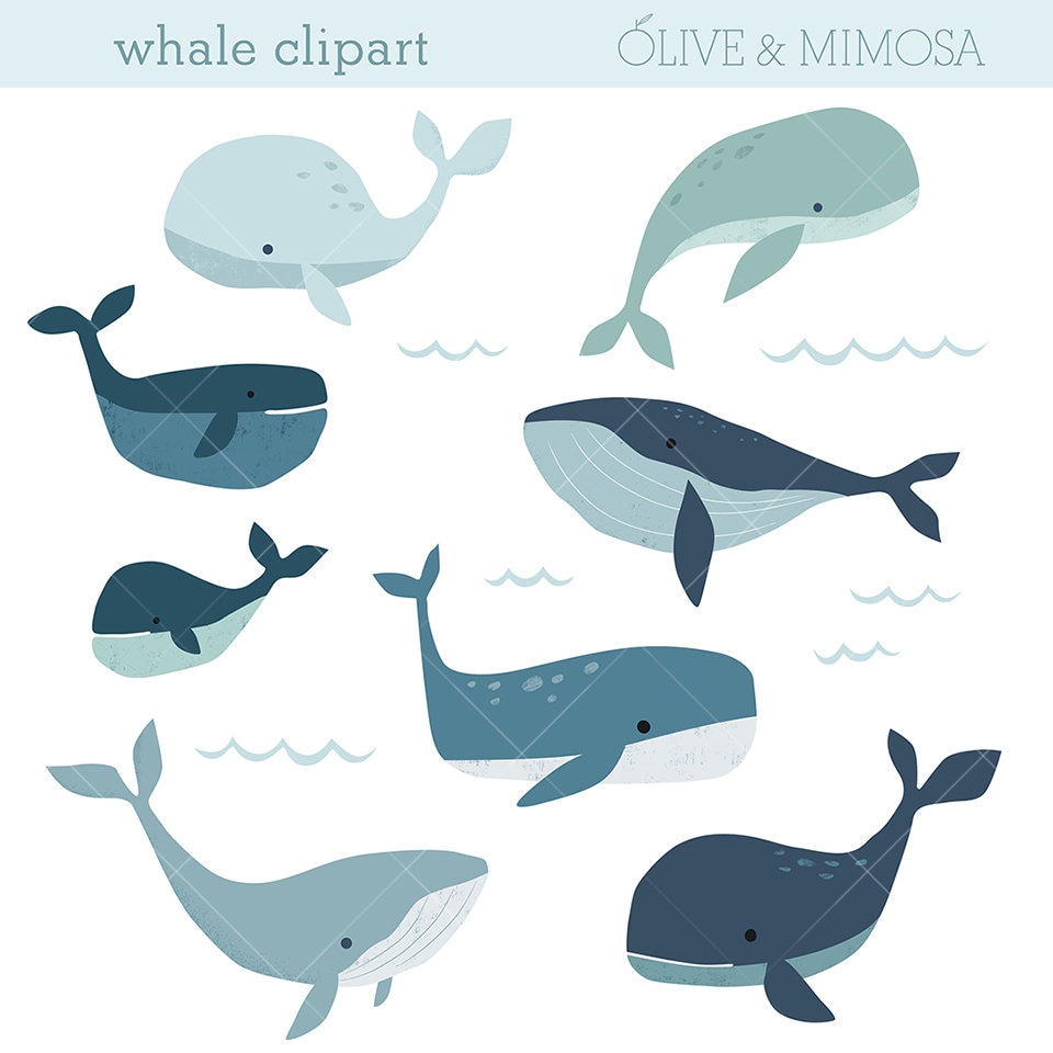 Whale Clip Art Images , Cute Whale Illustrations, Ocean, Sea Life