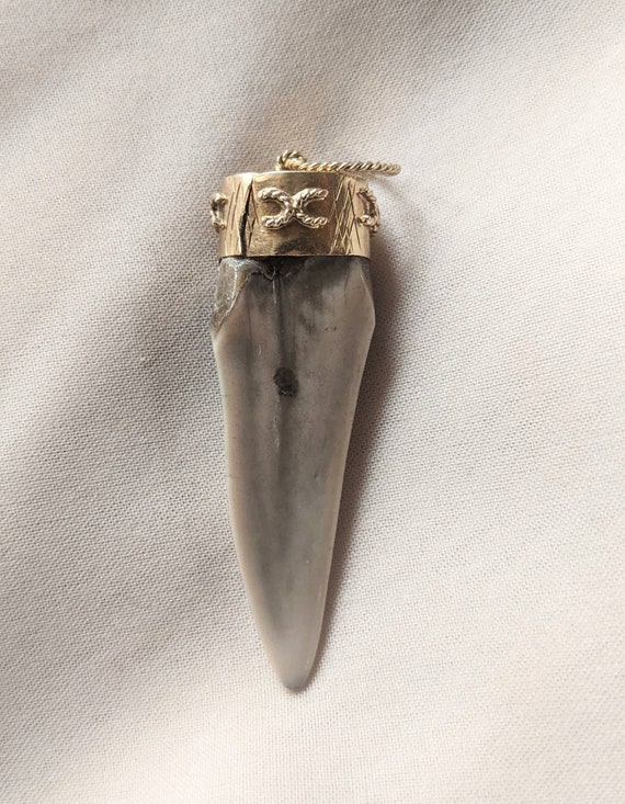 14K Yellow Gold Accented Sharks Tooth - image 4