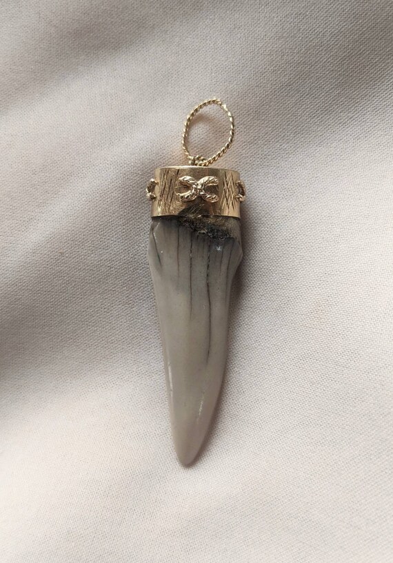 14K Yellow Gold Accented Sharks Tooth - image 3