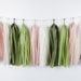 Cactus Tassel Garland - DIY & Pre-made - Birthday Party - Succulent - Fiesta - Bachelorette - Banner - Palm Springs