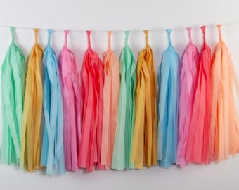 Happy Birthday Tassel Garland | Colorful Birthday Party Decor | Birthday Backdrop | Birthday Decorations | Kids Birthday Garland | Classroom