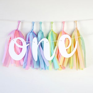 Pastel Rainbow High Chair Banner + Mini Tassels - First Birthday – ONE Banner – Custom Color – Smash Cake Backdrop – High Chair Display