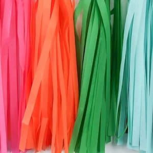 Fiesta Tassel Garland Pre-Made or DIY Kit Taco Bout Party Luau Birthday Fiesta Bachelorette Banner Final Fiesta Cinco de Mayo image 2