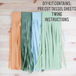 May include: DIY kit for making tassel garlands. The kit includes four pre-cut tassel sheets in orange, green, light blue, and green, twine, and instructions.