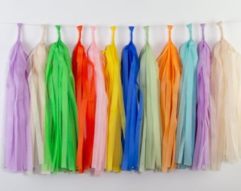 Celebration Parade Tassel Garland | Colorful Party Decorations | Kids Birthday Decor | Party Backdrop | First Birthday | Party Animal Decor