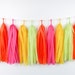 see more listings in the Tassel Garland section