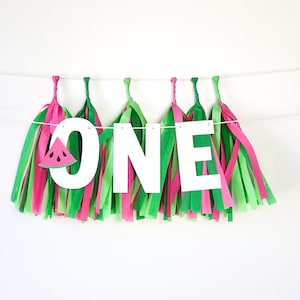 ONE in a Melon High Chair Banner + Mini Tassels | Watermelon First Birthday Party Decor | Summer Cake Smash | Tutti Frutti | Pink + Green
