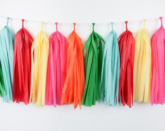 Fiesta Tassel Garland | Party Decoration | DIY Kit or Pre-Made | Tissue Paper