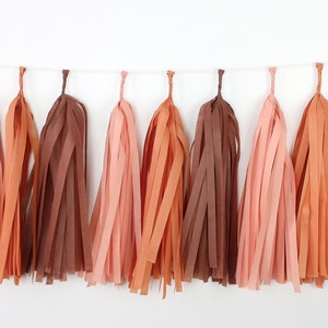 Terra Cotta Cocoa Tassel Garland Pre-made or DIY Kit - Neutral BOHO Burnt Orange Brown Baby Shower - Muted Rainbow - Bridal