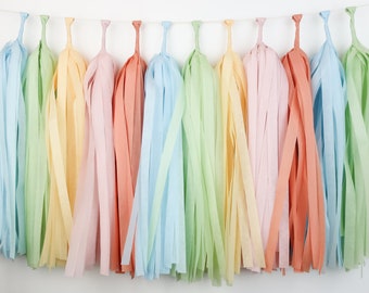 Wildflower Tassel Garland | Garden Party Decor | Baby in Bloom Baby Shower | Floral Birthday Party | Pastel Decor | DIY or Premade