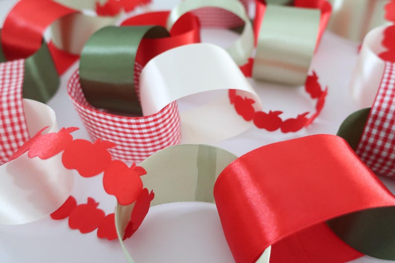 Apple of My Eye Satin Ribbon Chain Garland | Apple Baby Shower | Apple Bridal Shower | Apple Bachelorette | Orchard Party Decor | Gingham afbeelding 8