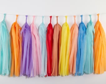 Birthday Parade Tassel Garland | Colorful Birthday Decorations | Kids Birthday Party | First Birthday | Party Backdrop | Celebration Decor