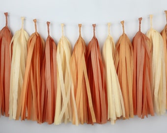 Around the Sun Tassel Garland | First Trip Around the Sun Birthday | Boho Sun | Here Comes the Son | Little Sunshine | DIY Kit or Pre-Made