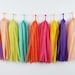 see more listings in the Tassel Garland section