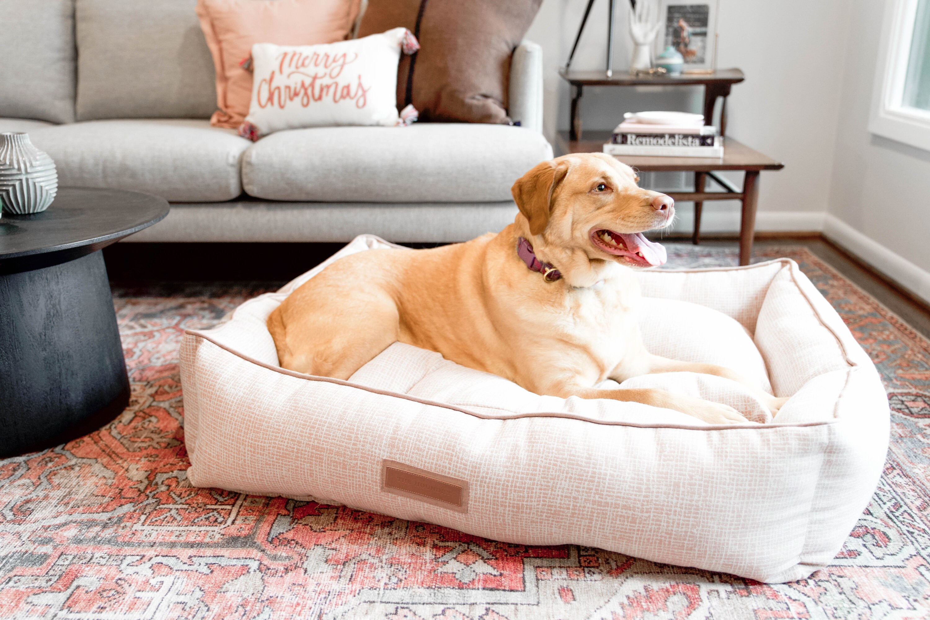 Sunbrella dog bed on sale cover