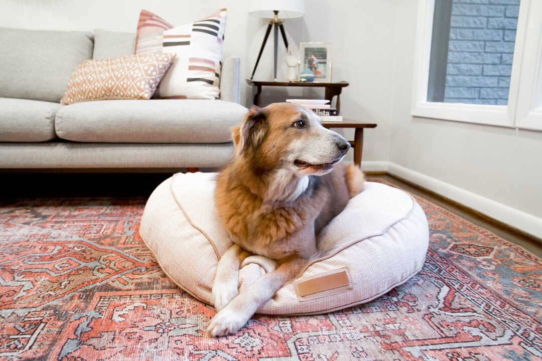 Round Bed in Puppy Belly Pink // Designer Dog Bed for Small to Xlarge