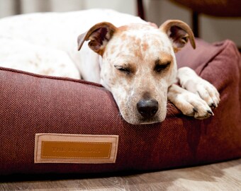 Hugger Bed in Russet Rover // Designer Dog Bed for Small to X-Large Dogs // Modern Bolster Pet Bed // Durable Sunbrella Fabric