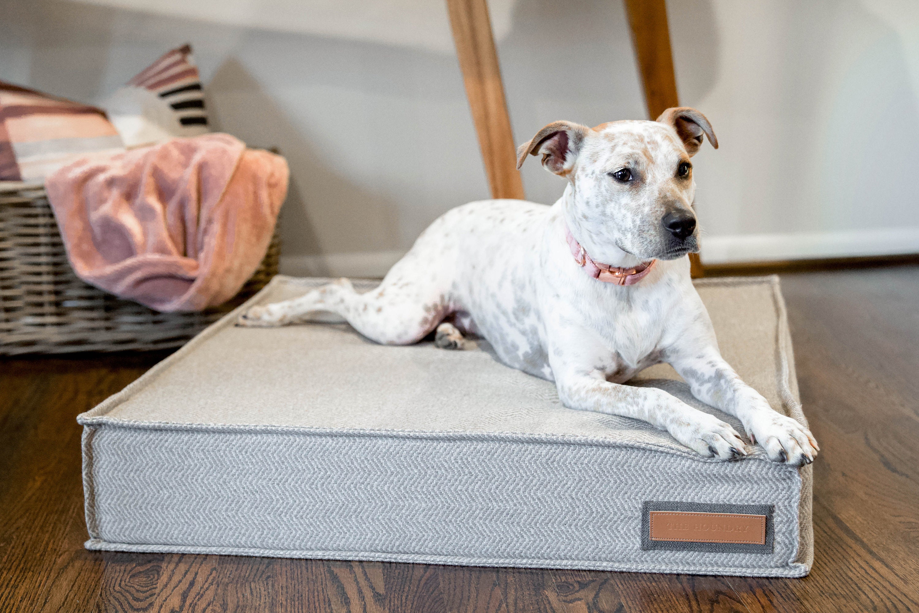 Orthopedic Bed In Foggy Feline Designer Dog Bed For Small Etsy