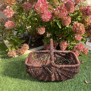 May include: A brown wicker basket with a handle, sitting on green grass. The basket is empty and has a woven diamond pattern on the front.