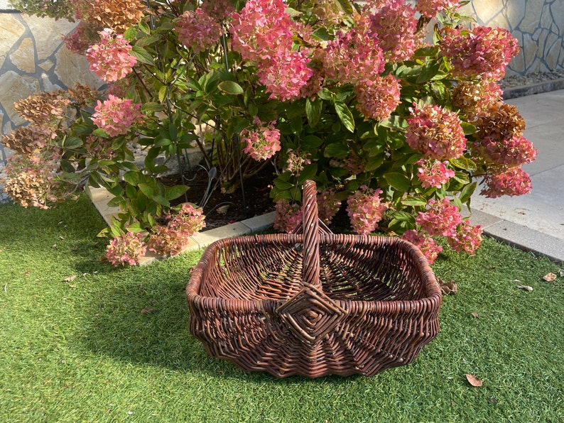 May include: A brown wicker basket with a handle, sitting on green grass. The basket is empty and has a woven diamond pattern on the front.