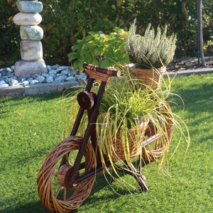 Puede incluir: Un macetero de motocicleta de mimbre con dos macetas, una con brezo blanco y la otra con hierba verde. El macetero está en un césped verde.