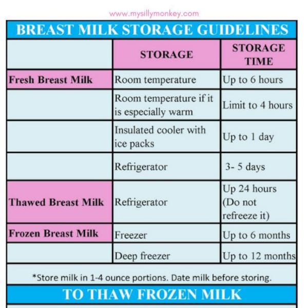 Breastmilk Storage Guidelines Magnet