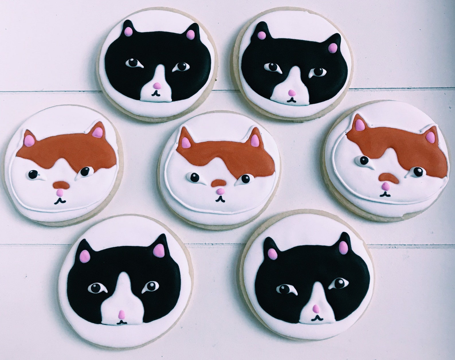 Cat cookies