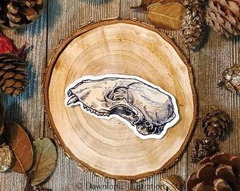 Puede incluir: Un dibujo en blanco y negro de un cráneo de animal sobre un fondo de madera. El cráneo es detallado y realista, con dientes y estructura ósea visibles.