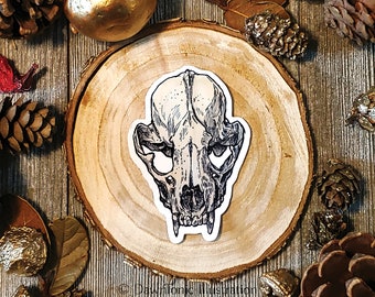 May include: A black and white line drawing of an animal skull on a wooden background. The skull is detailed and has a sharp, pointed snout.