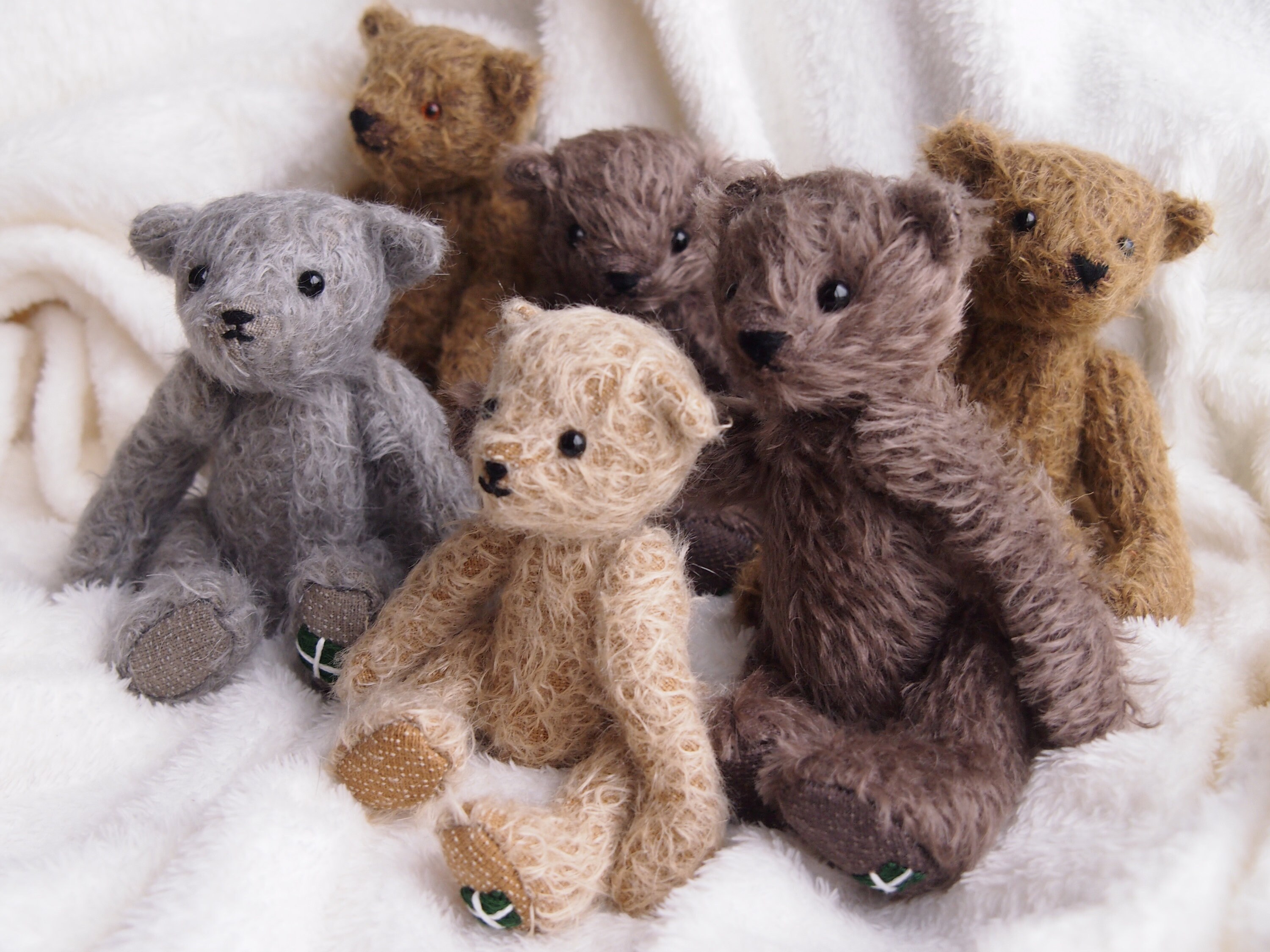 teddy bear sheepadoodles