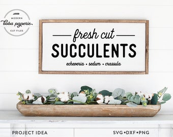 Fresh Cut Sukkulenten Svg, Pflanzen svg, Pflanzen svg, Sukkulenten Svg, Modern Farmhouse Svg, Gartenschild Svg, Gartenschild Svg, Gartenschild Svg