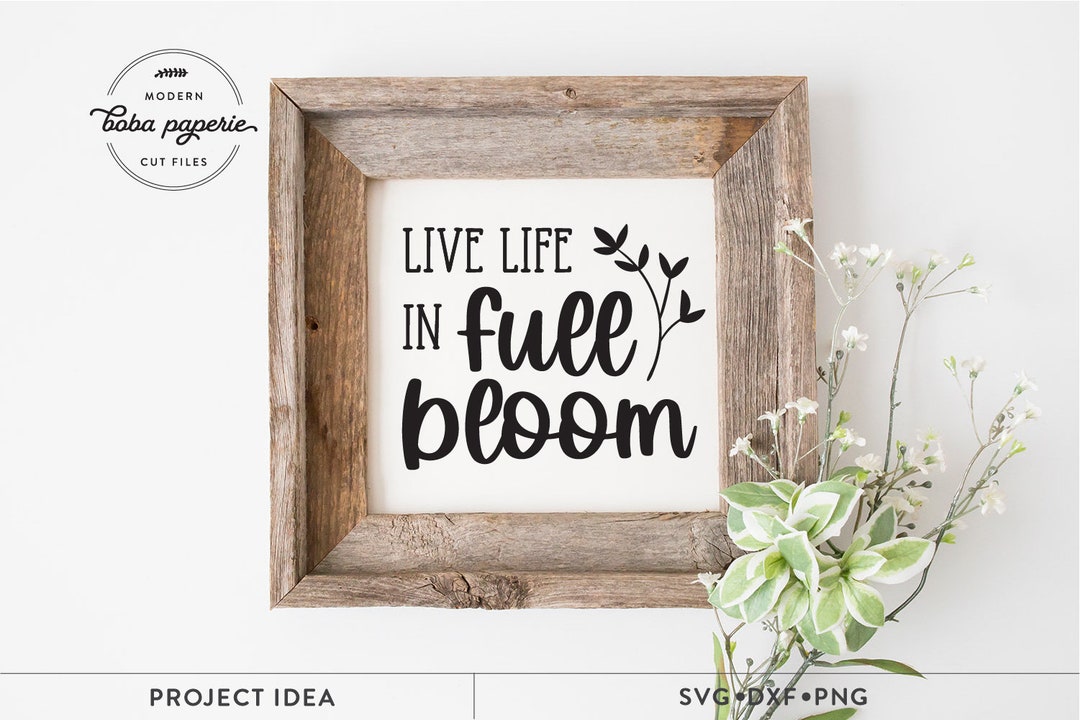 Live Life in Full Bloom SVG, Spring Svg, Spring Sign Svg, Spring Quote ...