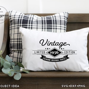 Vintage 1956, Geburtstag svg, Vintage Geburtstagsshirt, limitierte Edition, echte Originalteile, lustiges Geburtstagsmotiv, 66