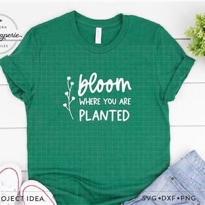 Fleur là où vous êtes planté SVG, décoration printanière, citation de printemps, svg de chemise de printemps, décoration de printemps de ferme, enseigne de patio de printemps, svg de floraison